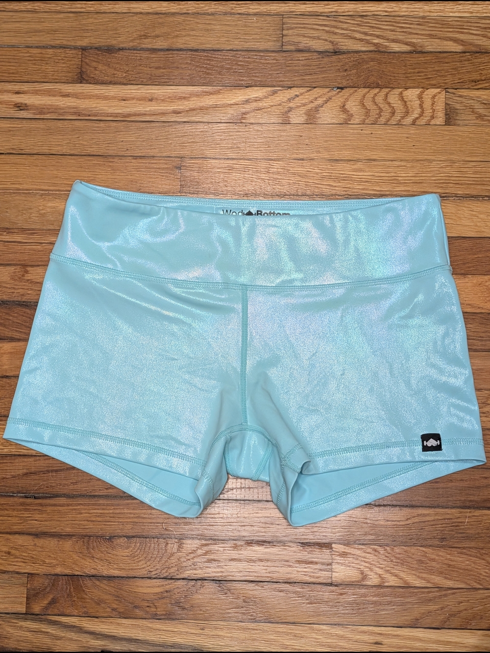 Wodbottom Shiny Hiney Teal Shorts - Size Large